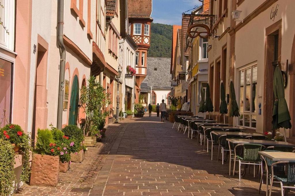 ヒルシュホルンLuftkurort, Perle Des Neckartalsアパートメント エクステリア 写真