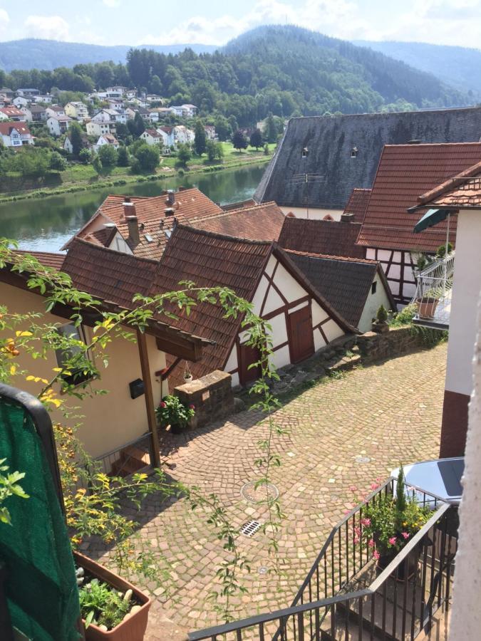 ヒルシュホルンLuftkurort, Perle Des Neckartalsアパートメント エクステリア 写真