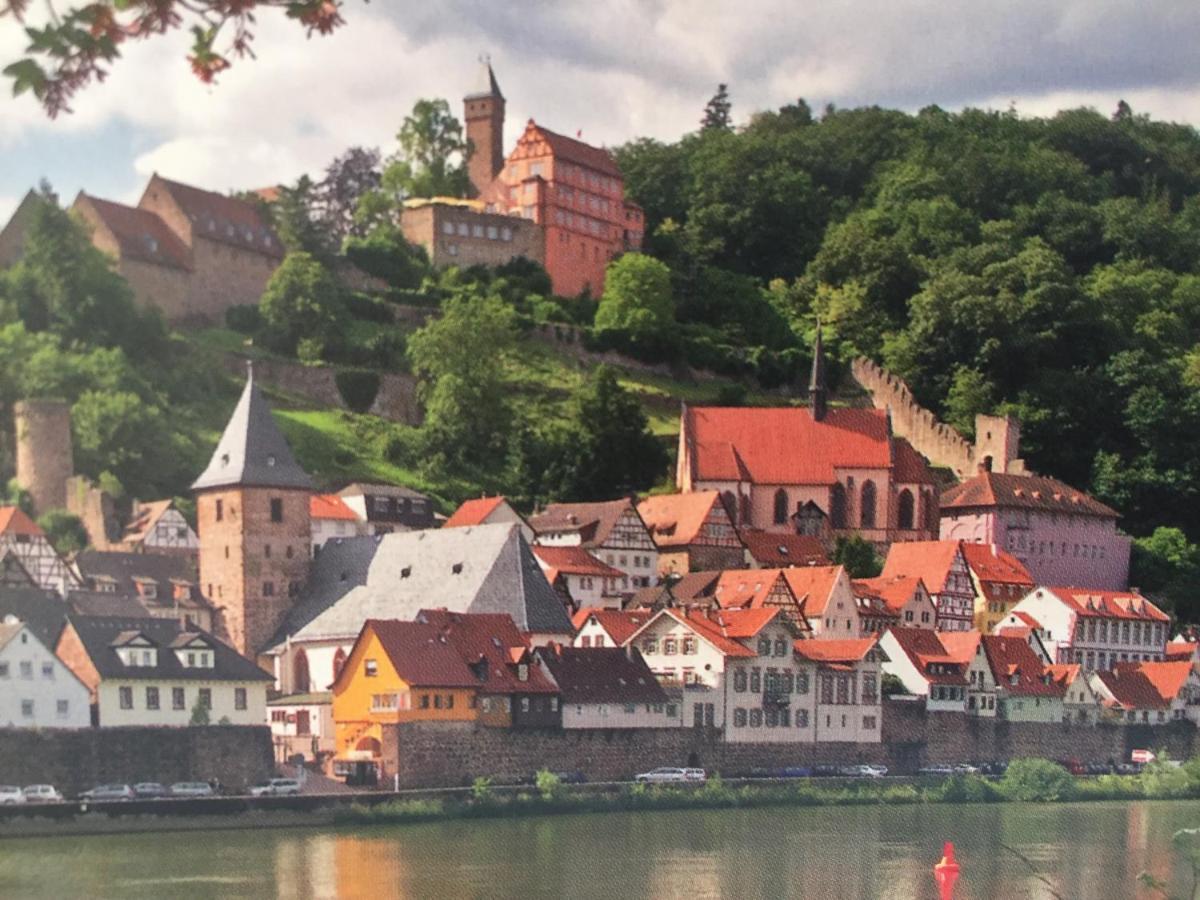 ヒルシュホルンLuftkurort, Perle Des Neckartalsアパートメント エクステリア 写真