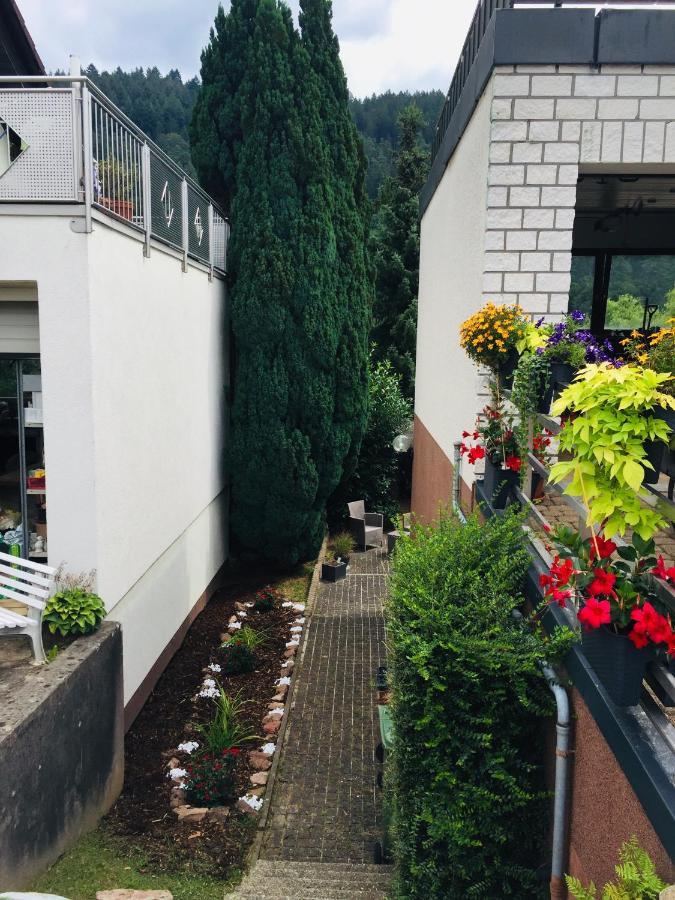 ヒルシュホルンLuftkurort, Perle Des Neckartalsアパートメント エクステリア 写真