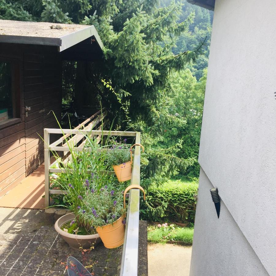 ヒルシュホルンLuftkurort, Perle Des Neckartalsアパートメント エクステリア 写真