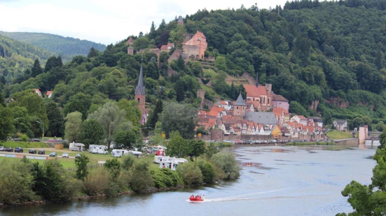 ヒルシュホルンLuftkurort, Perle Des Neckartalsアパートメント エクステリア 写真