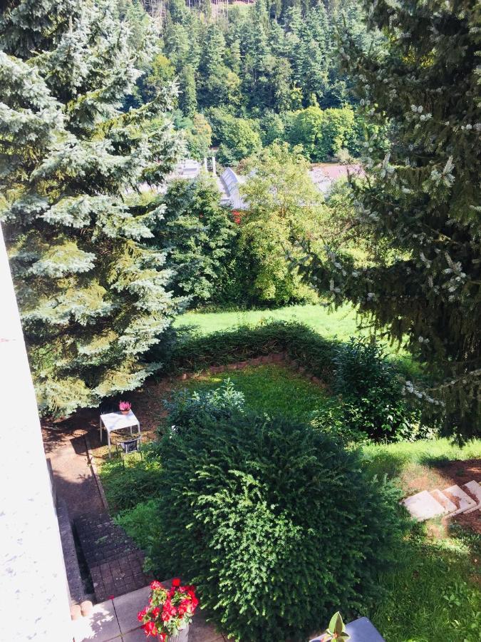ヒルシュホルンLuftkurort, Perle Des Neckartalsアパートメント エクステリア 写真