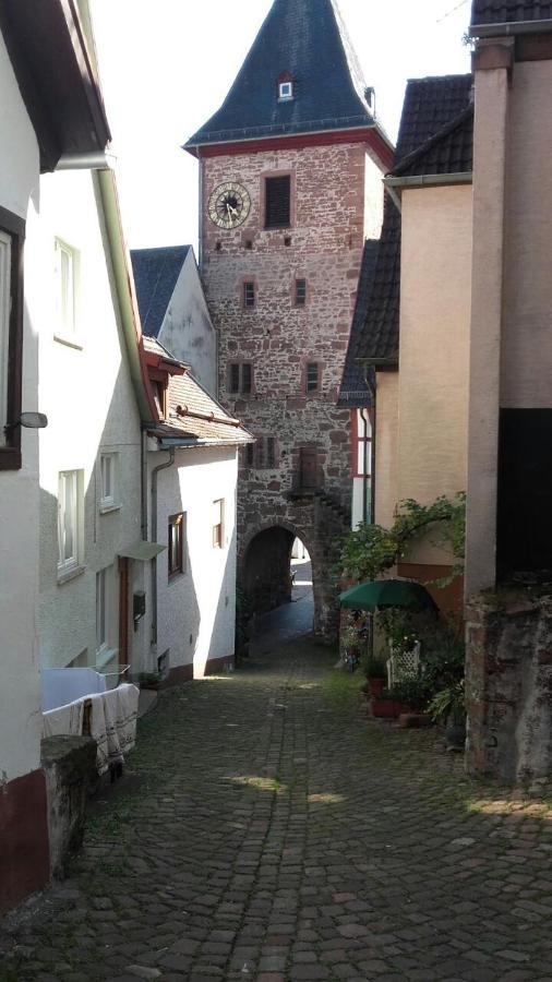 ヒルシュホルンLuftkurort, Perle Des Neckartalsアパートメント エクステリア 写真