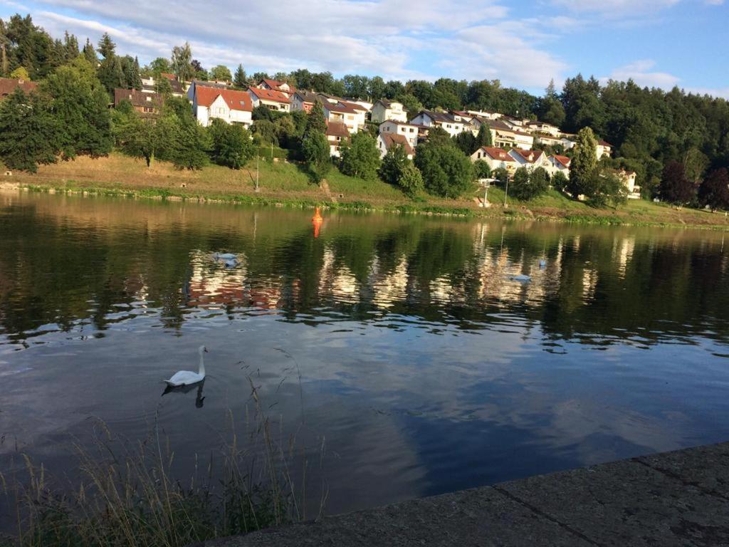 ヒルシュホルンLuftkurort, Perle Des Neckartalsアパートメント エクステリア 写真